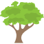 arbre représentant l'engagement éco-responsable